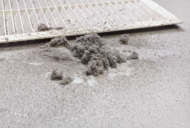 Best Professional Duct Cleaning Services  in Lake Mills, WI