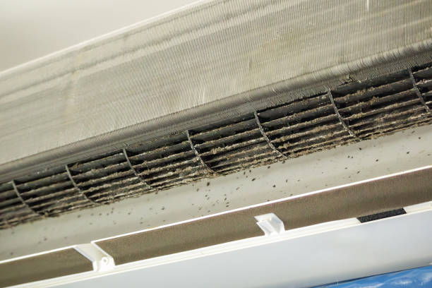 Best Affordable HVAC Duct Cleaning  in Lake Mills, WI