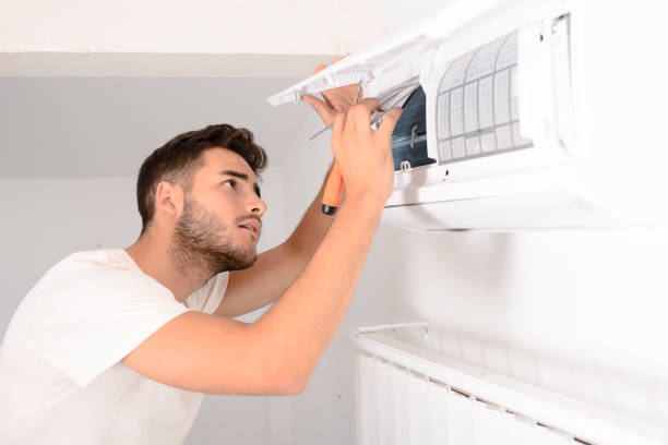 Best Air Duct Sanitizing Services  in Lake Mills, WI